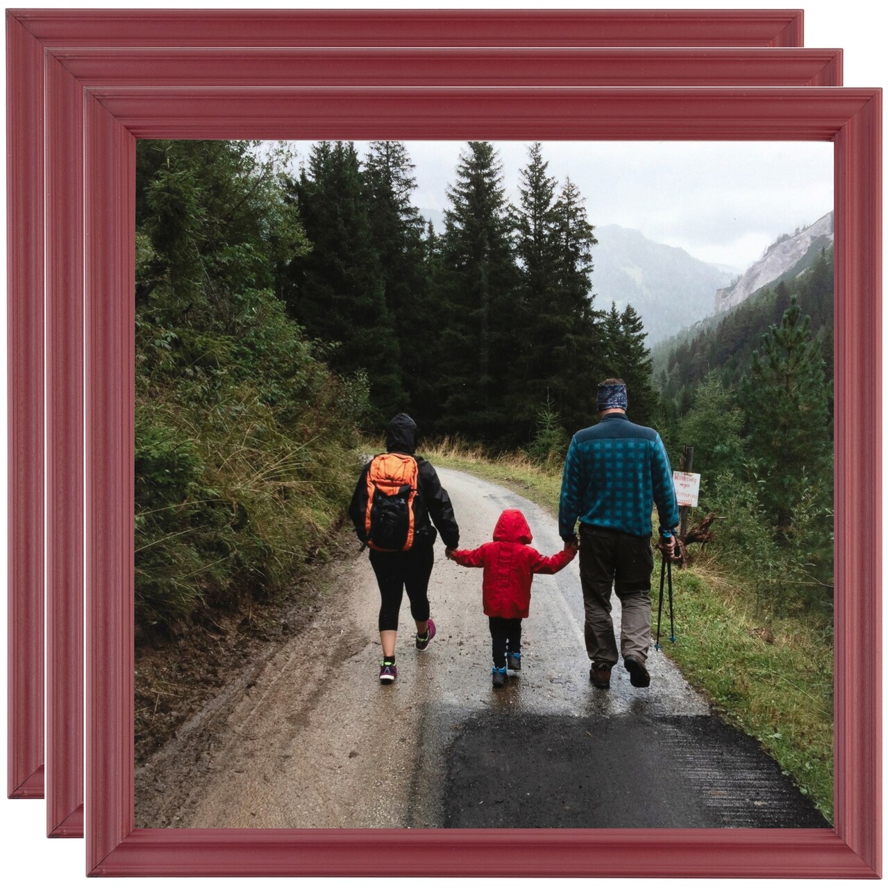 ArtToFrames 8x12 Inch Traditional Picture Frame, Multi Pack, Comes with Regular Glass (WOMPack-80-8x12)